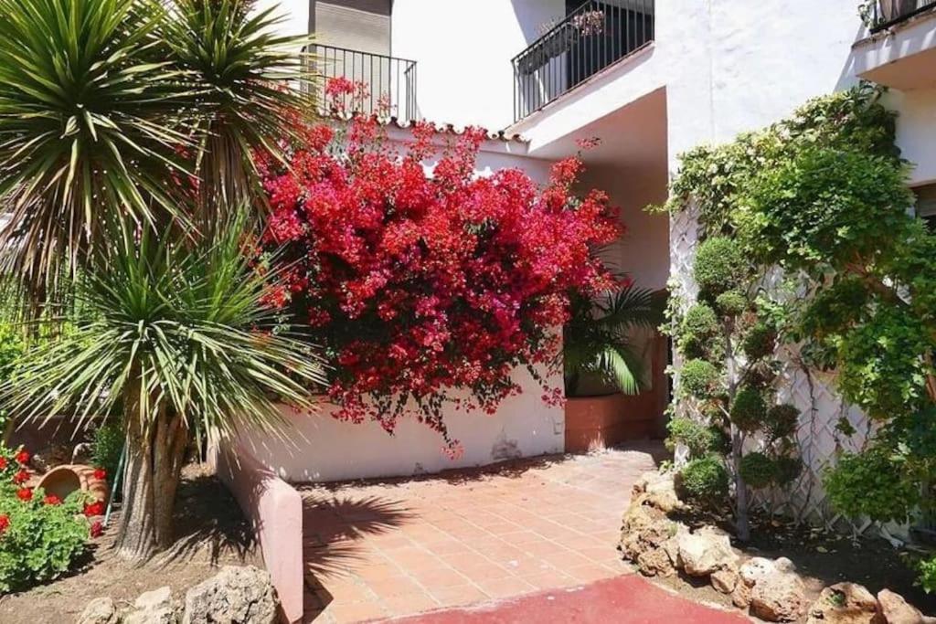 Caprichoso Apartamento En El Corazon De Puerto Banus Marbella Exterior photo